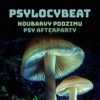 PSYTRANCE PARTY & CAFE VERNISÁŽ