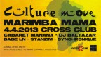 culturemove04042013.JPG