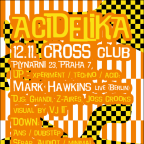 ACIDELIKA with MARK HAWKINS live /Berlin/