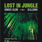 LOST IN JUNGLE