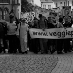 PODZIMNÍ BENEFICE VEGGIE PARADE 